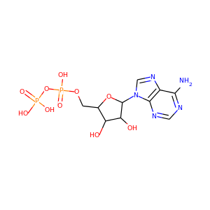 Adenosine diphosphate